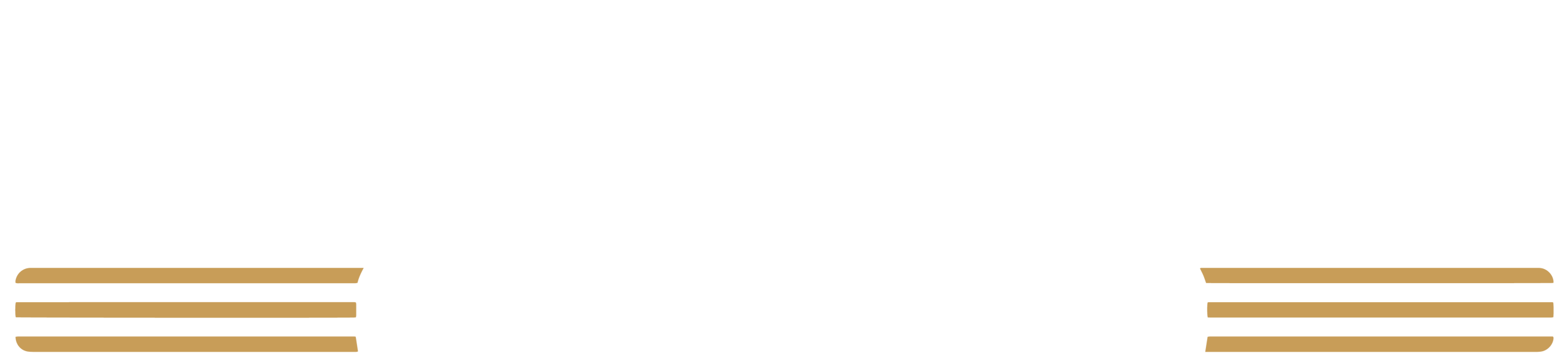 Novesta Group